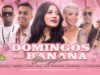 domingosDeBananaSalsayAmor13FebBanana